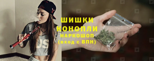 PSILOCYBIN Балахна