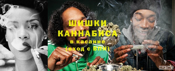 PSILOCYBIN Балахна