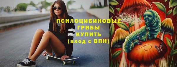 PSILOCYBIN Балахна