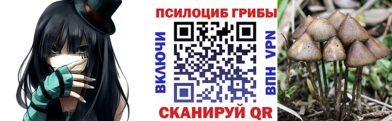 Галлюциногенные грибы Cubensis  Горно-Алтайск 