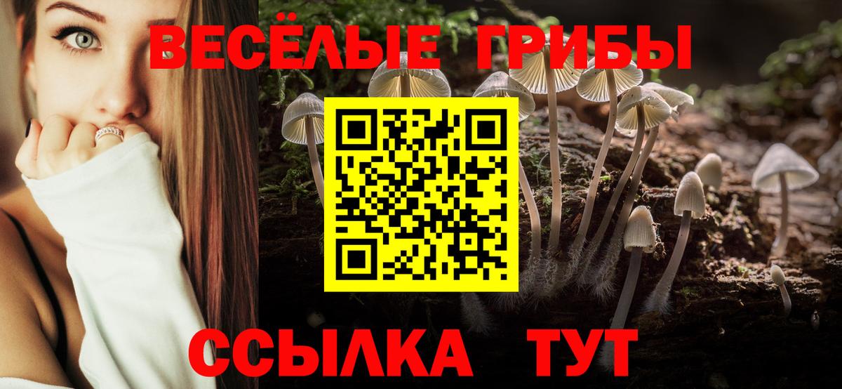 Галлюциногенные грибы Cubensis  Вход с VPN  Горно-Алтайск  Псилоцибиновые грибы MAGIC MUSHROOMS 