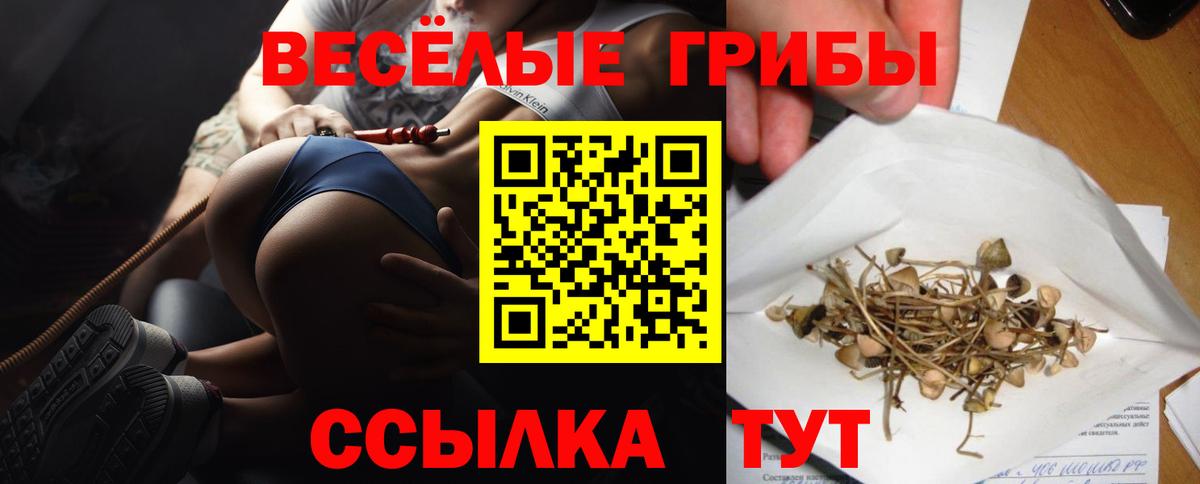Псилоцибиновые грибы MAGIC MUSHROOMS Горно-Алтайск